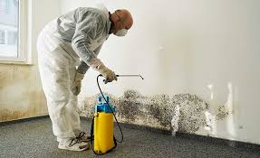 Best Mold Removal for HVAC Installations  in Crimora, VA