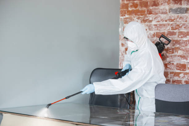 Best Environmental Consulting for Mold Prevention  in Crimora, VA