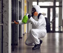 Environmental Consulting for Mold Prevention in Crimora, VA